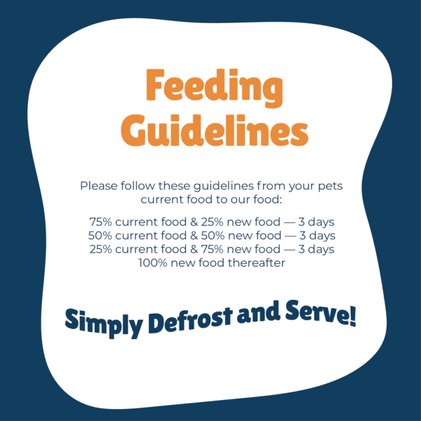 Feeding transition guide — how to switch your dog to Good Vibes